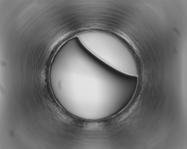 X0000090910826200708061521