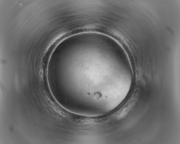 X0000090910827200708061521