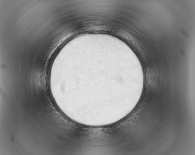 X0000090910828200708061521