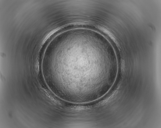 X0000090910829200708061521