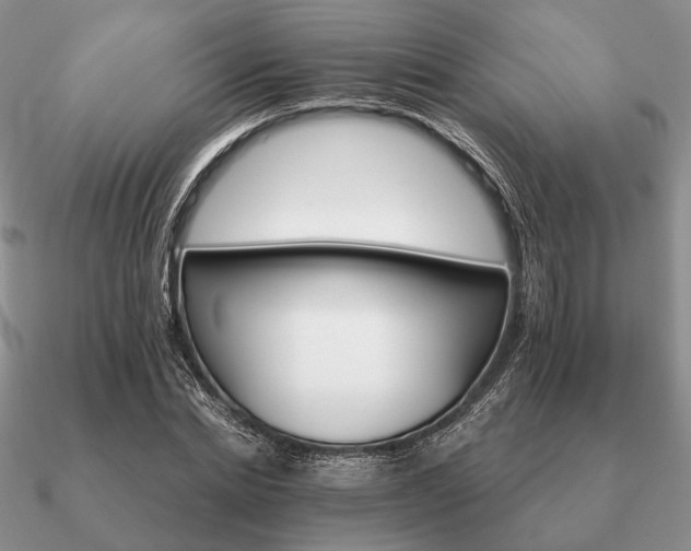 X0000090910830200708061521