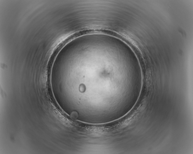 X0000090910831200708061521