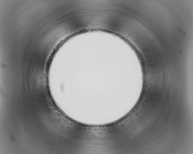 X0000090910832200708061521