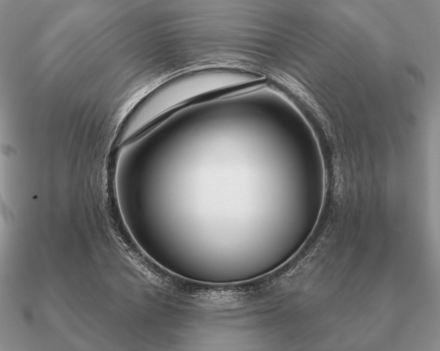 X0000090910834200708061521