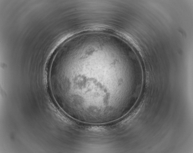 X0000090910835200708061521