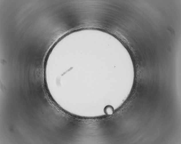 X0000090910836200708061521