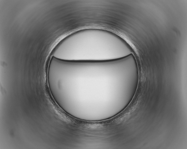 X0000090910837200708061521