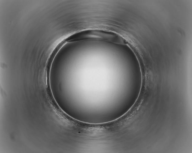 X0000090910838200708061521