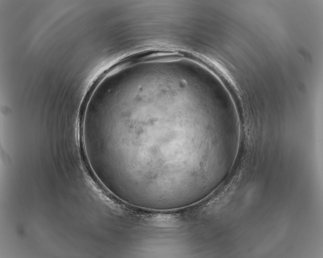 X0000090910839200708061521