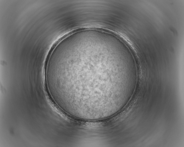 X0000090910840200708061521