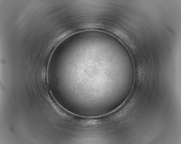 X0000090910841200708061521