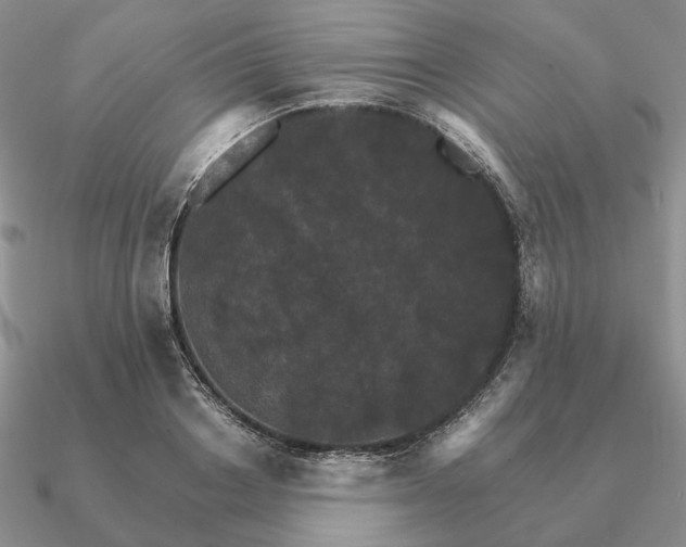 X0000090910842200708061521