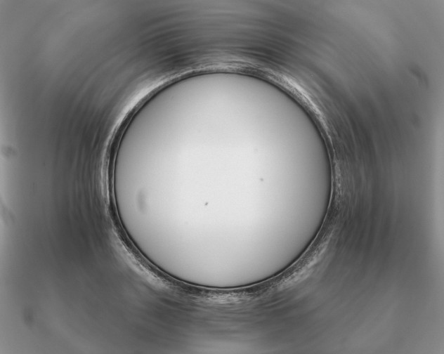 X0000090910843200708061521