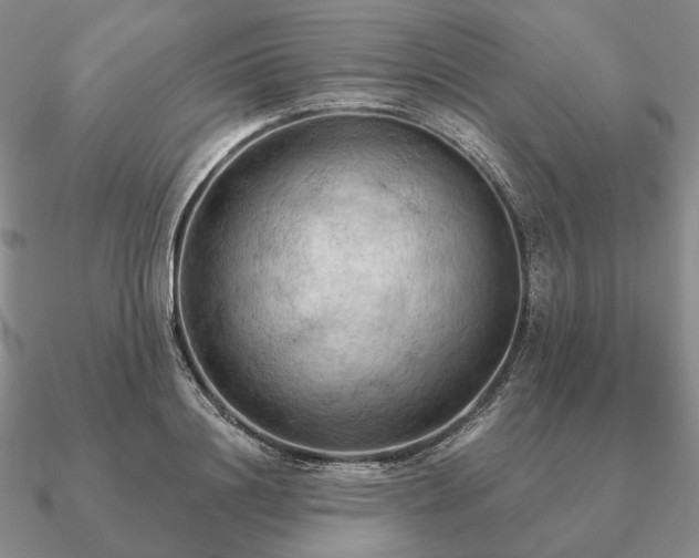 X0000090910844200708061521