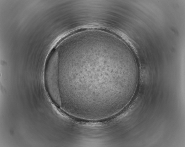 X0000090910845200708061521