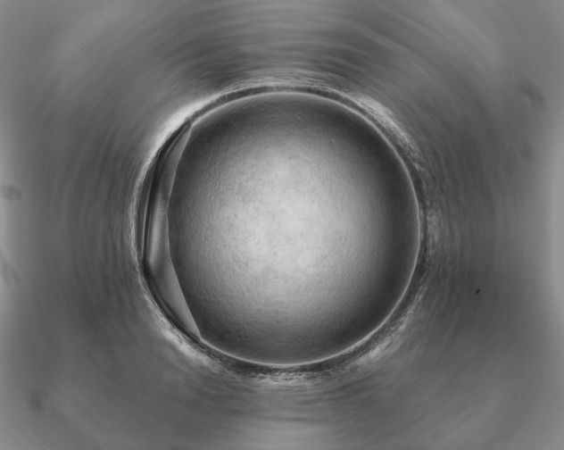 X0000090910846200708061521