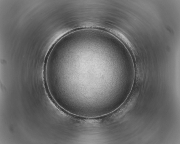 X0000090910847200708061521