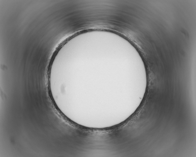 X0000090910848200708061521