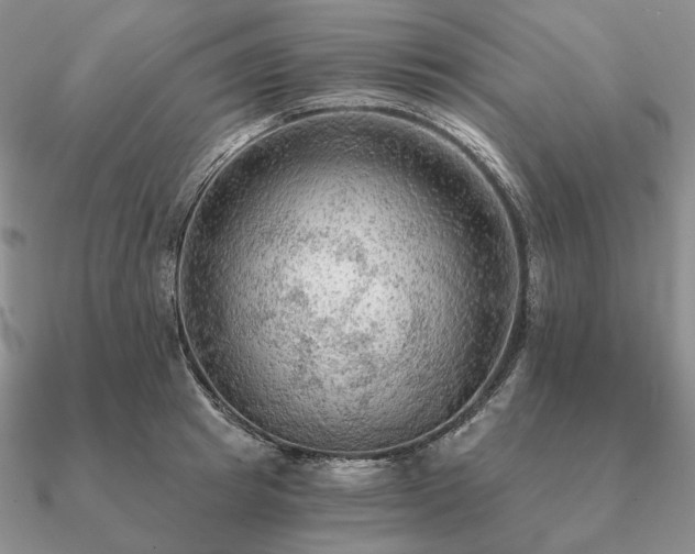 X0000090910849200708061521