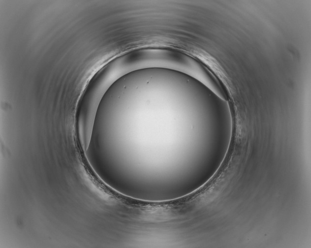 X0000090910850200708061521