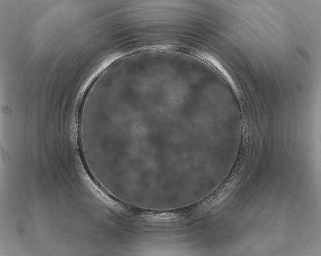 X0000090910851200708061521