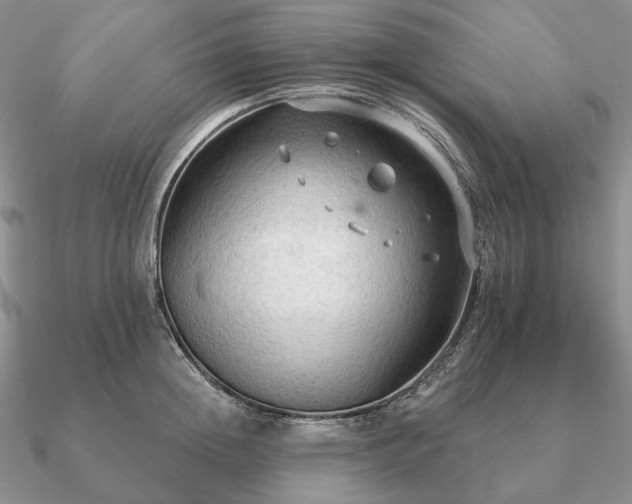 X0000090910852200708061521