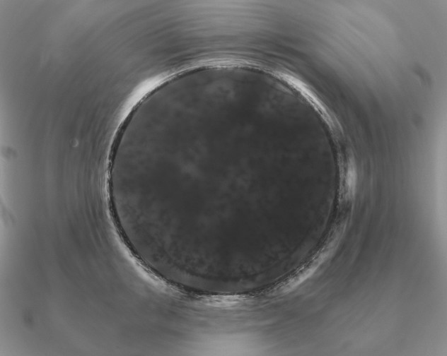 X0000090910853200708061521