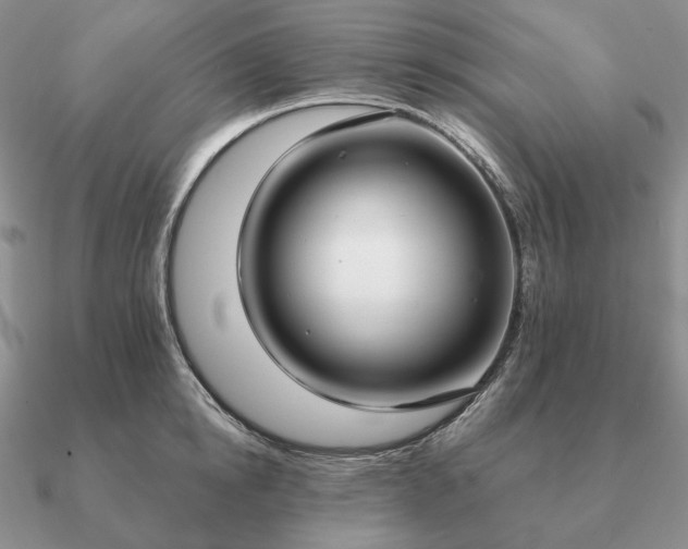 X0000090910854200708061521