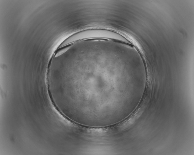 X0000090910855200708061521