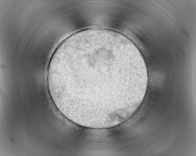 X0000090910856200708061521