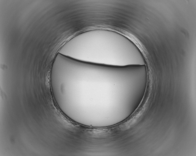 X0000090910857200708061521