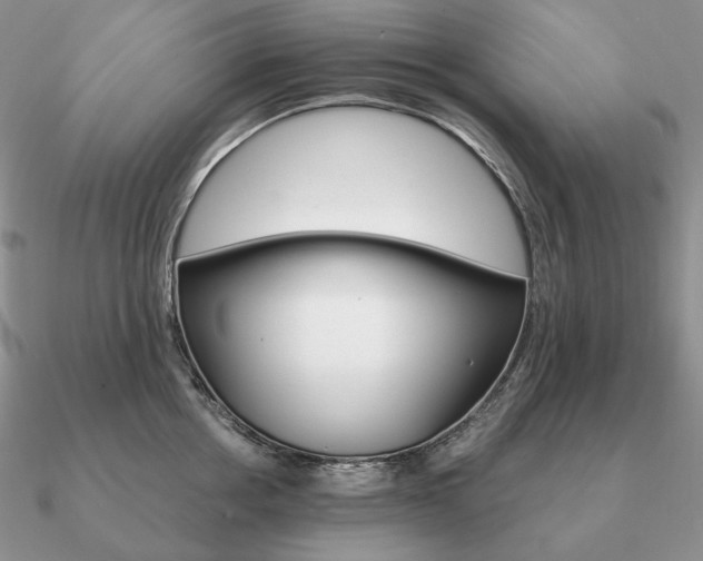 X0000090910858200708061521