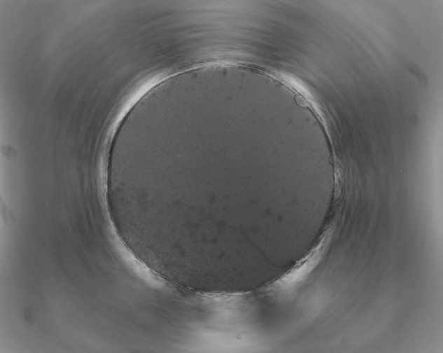 X0000090910859200708061521