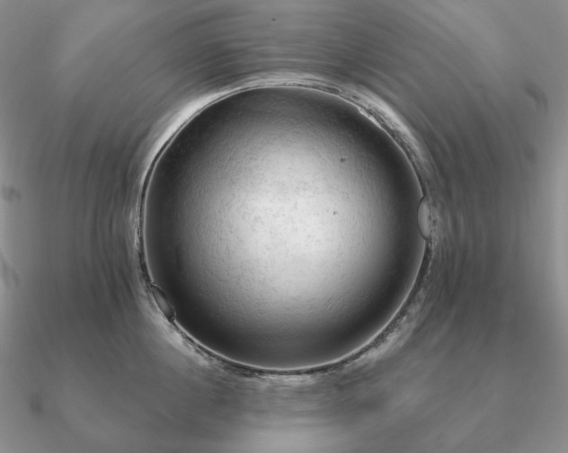 X0000090910860200708061521