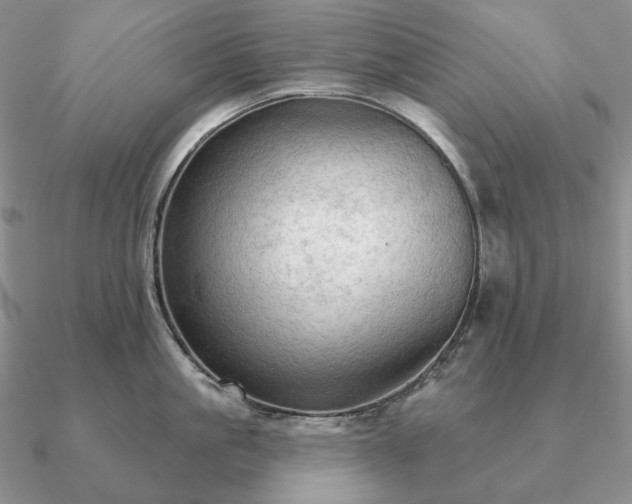 X0000090910861200708061521