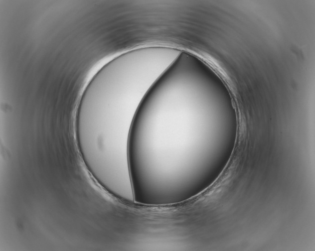 X0000090910862200708061521