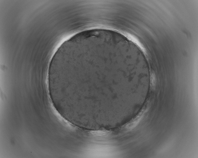 X0000090910863200708061521