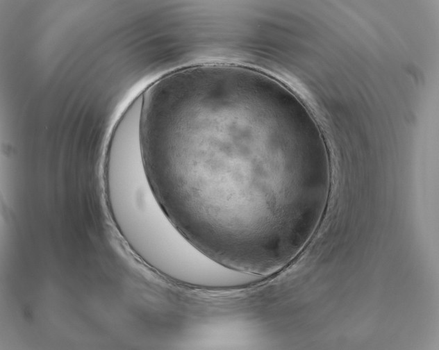 X0000090910864200708061521