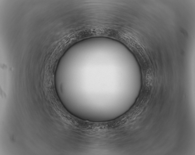 X0000090910865200708061521