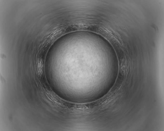 X0000090910866200708061521