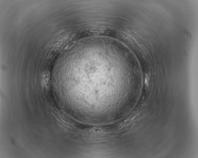 X0000090910867200708061521