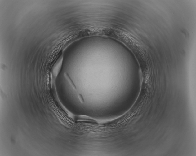 X0000090910868200708061521