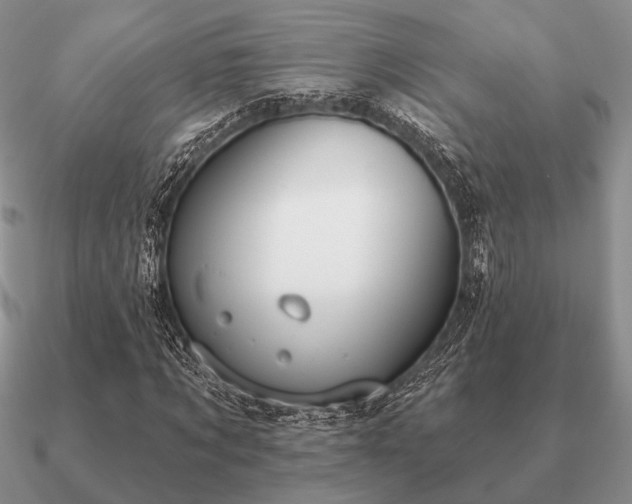 X0000090910869200708061521