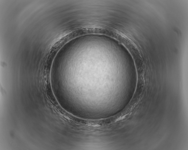 X0000090910870200708061521