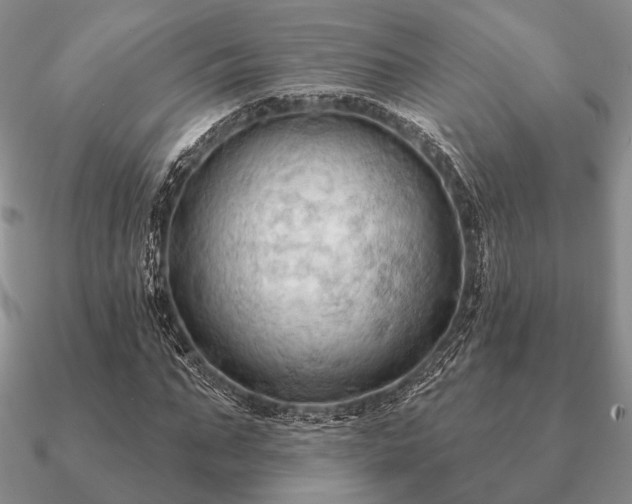 X0000090910871200708061521