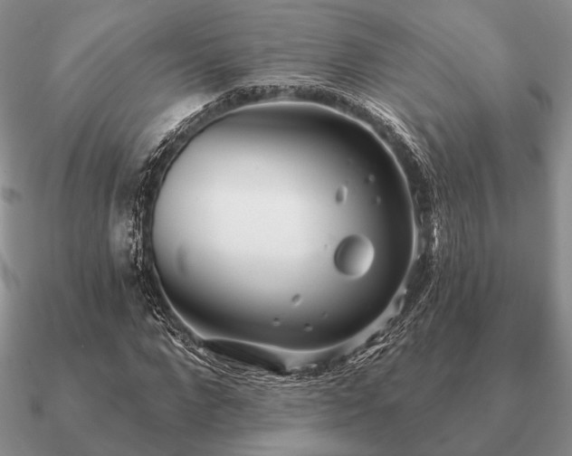 X0000090910872200708061521