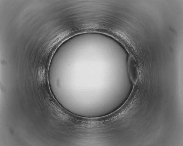 X0000090910873200708061520