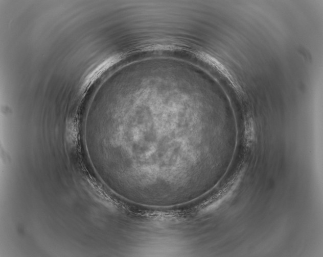 X0000090910874200708061520