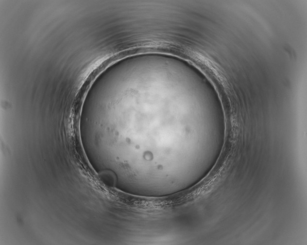 X0000090910875200708061520