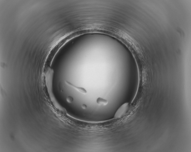 X0000090910876200708061520